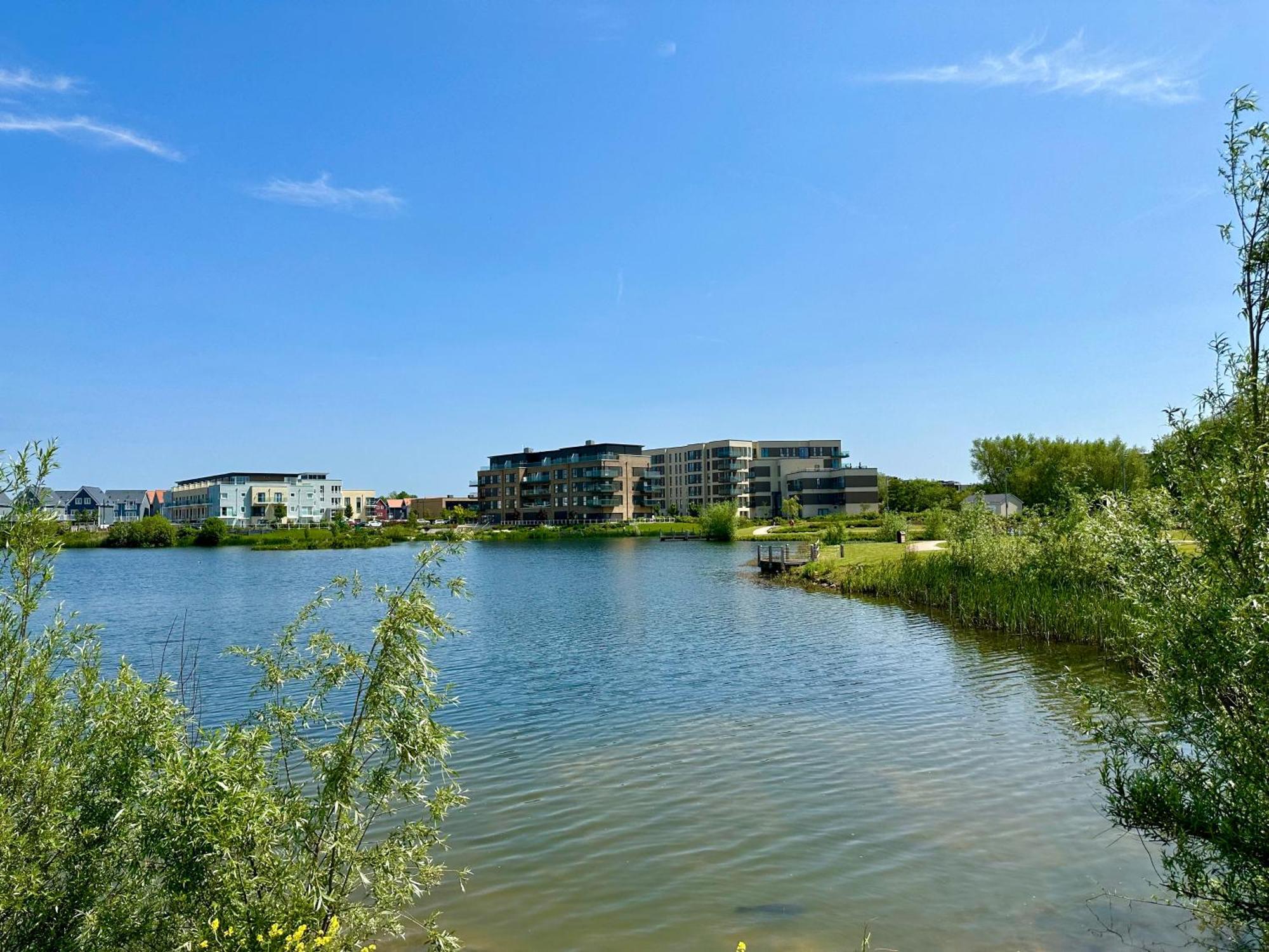 Lovely Flat Near University Of Reading Διαμέρισμα Εξωτερικό φωτογραφία